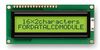 FORDATA FC1602N04-FHYYBW-91SE