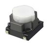PANASONIC EVQP0405M
