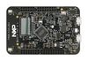 NXP FRDM-K32L2B3