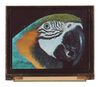 MIDAS DISPLAYS MDOG160128A2V-RGBM
