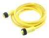 MOLEX 1300100884