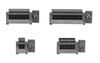 MOLEX 44300-1000.