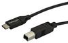 STARTECH USB2CB2M