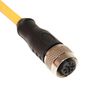 MUELLER ELECTRIC C5C11M00.5