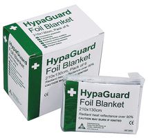 SAFETY FIRST AID GROUP Q2023T