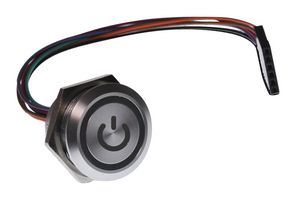 E-SWITCH CS4L2FP.