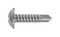 TR FASTENINGS 4.2 X 13 FLSTDX Z100 DIN7504