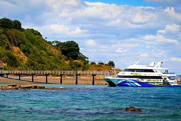 Tiritiri Matangi Island Guided Day Tour from Auckland Tiritiri Matangi Island Guided Day Tour from Auckland