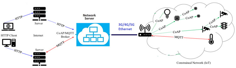 Protocol Network in an IoT Ecosystem